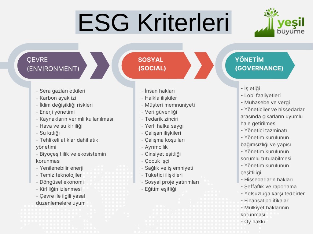 ESG Kriterleri